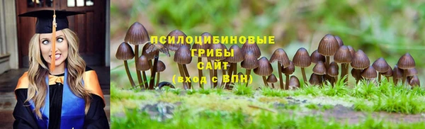кокс Аркадак