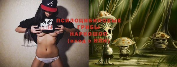 кокс Аркадак