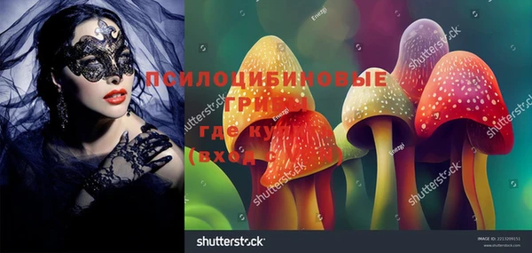 кокс Аркадак