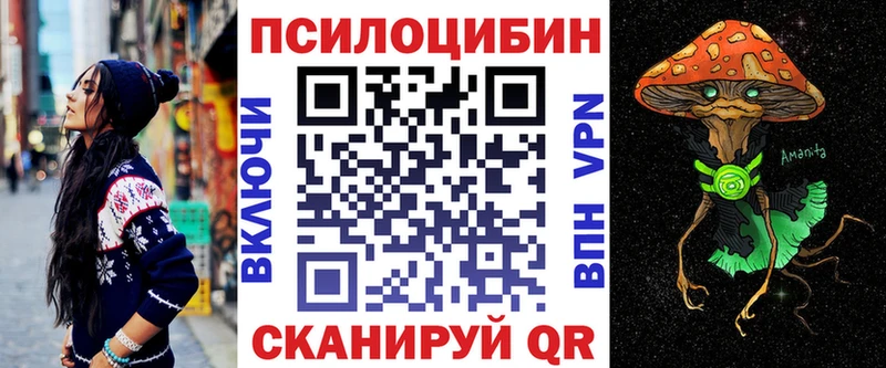продажа наркотиков  Новодвинск  Псилоцибиновые грибы Psilocybe 