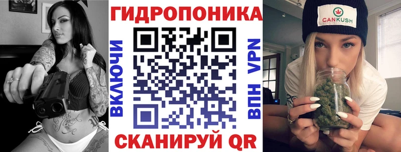сколько стоит  Новодвинск  Шишки марихуана OG Kush 